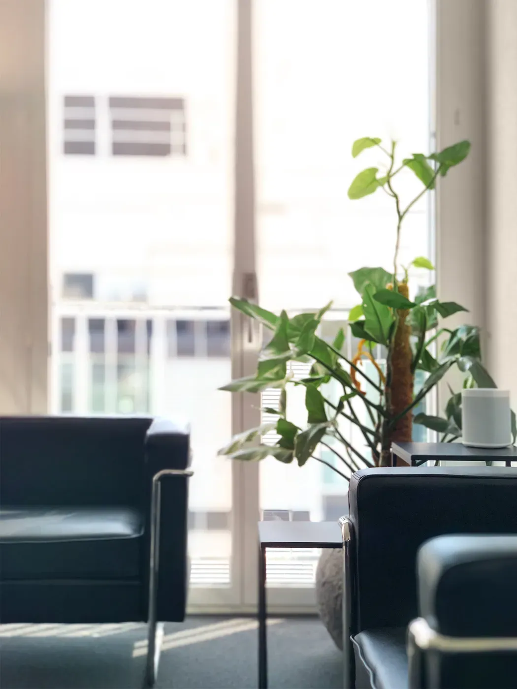 Sitzecke in unserem Büro